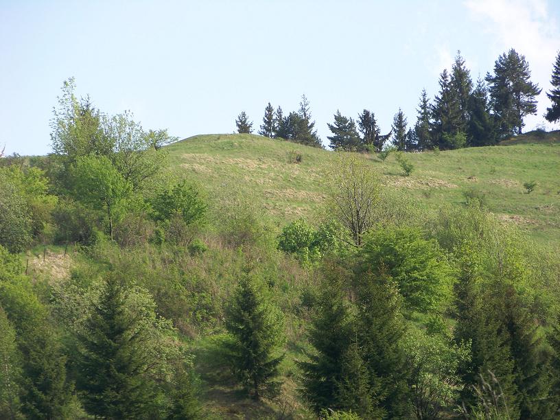 13.JPG
