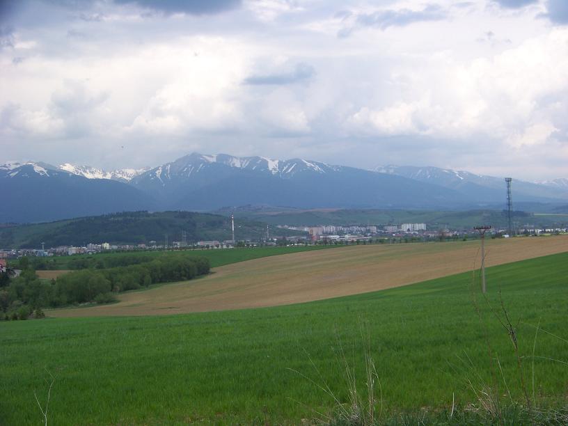 17.JPG