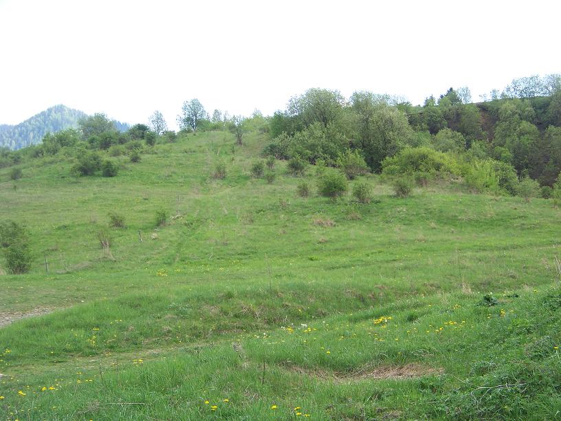 20.JPG