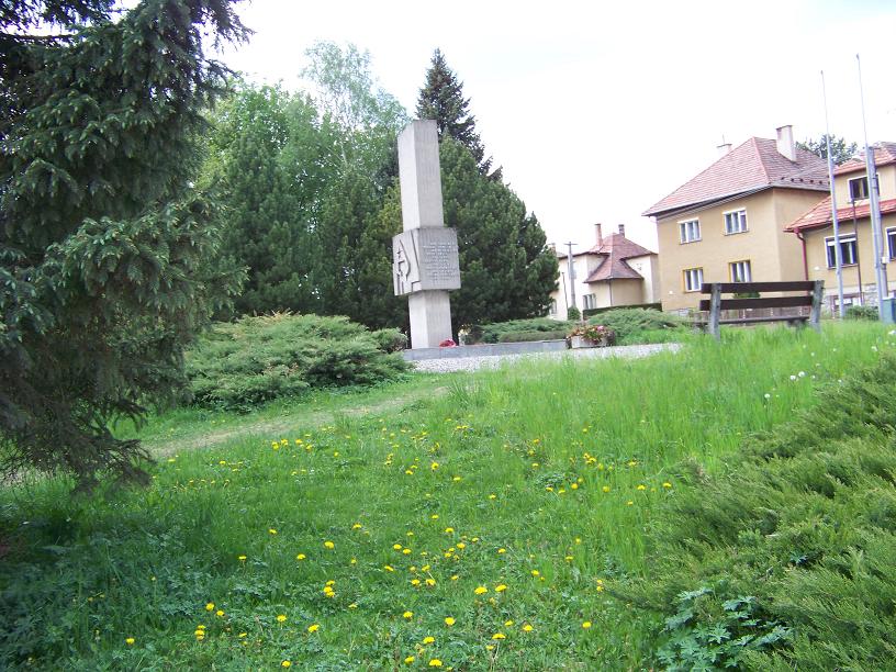 61.JPG