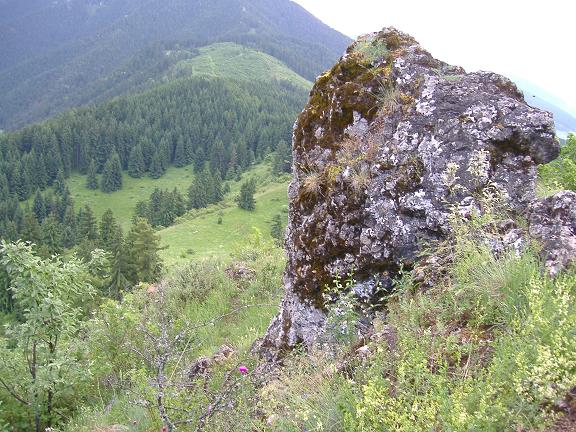Ploštín (6).JPG