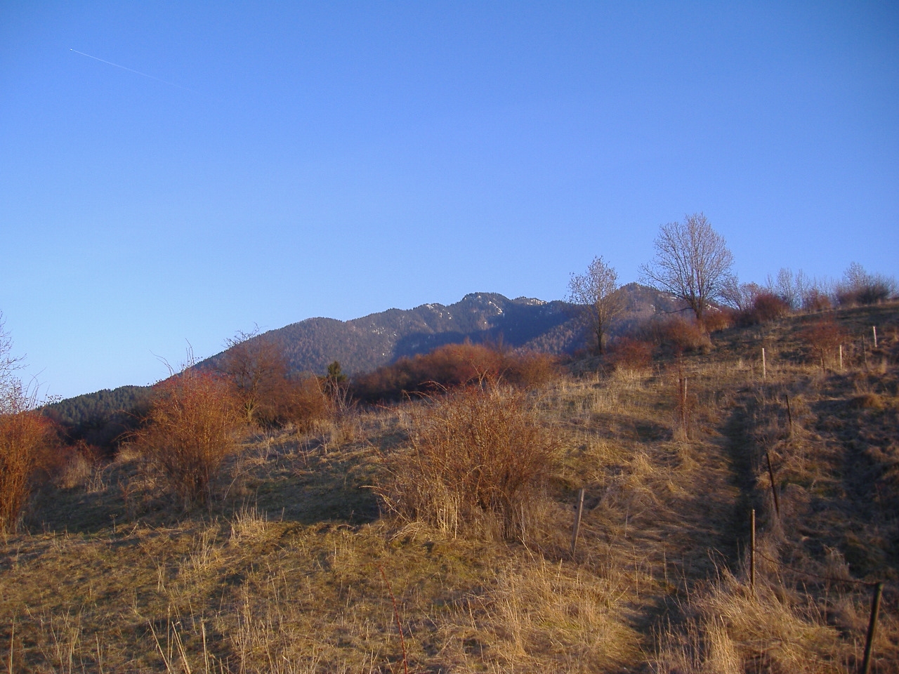 Ploštín (137).JPG