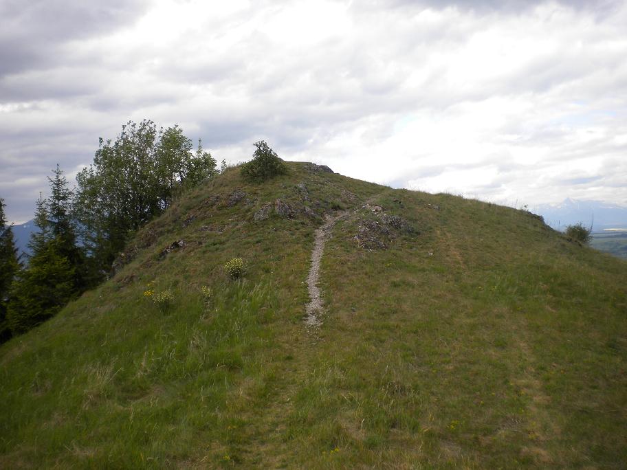 Obrázok 025.JPG
