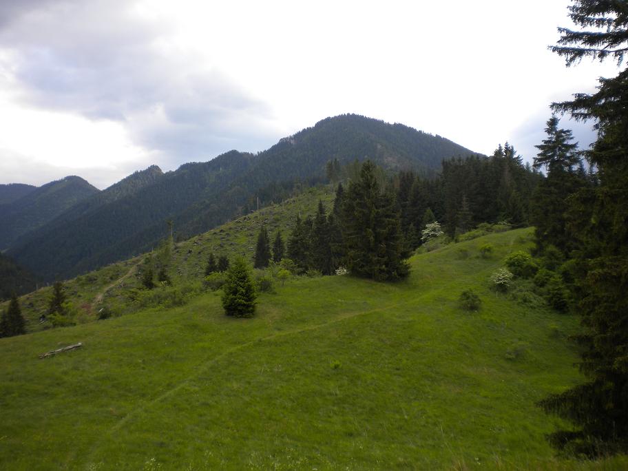 Obrázok 029.JPG
