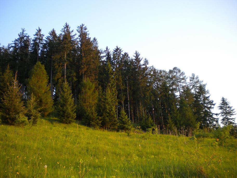 Ploštín (145).JPG