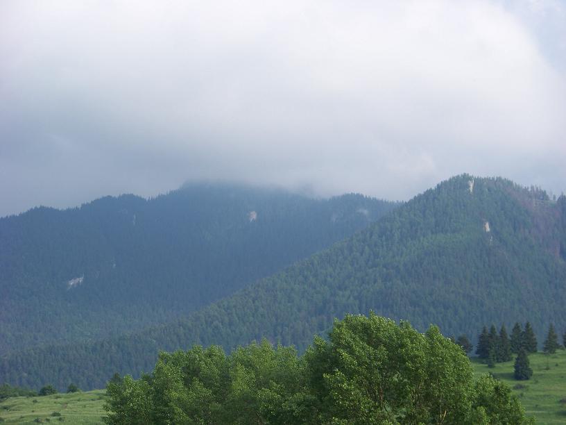 všeličo 033.jpg