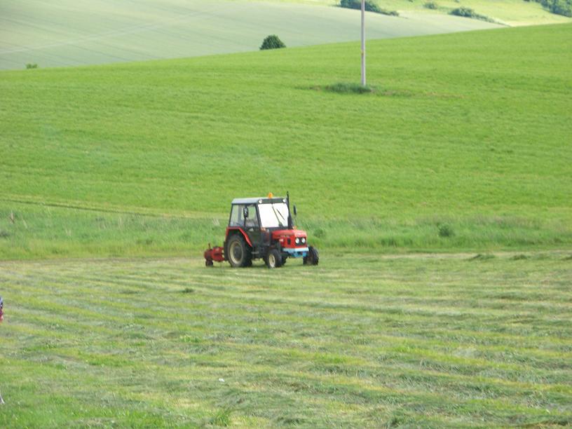 všeličo 049.jpg