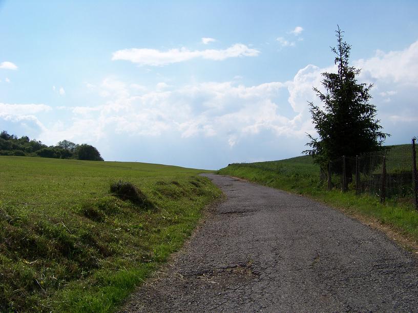 všeličo 002.jpg