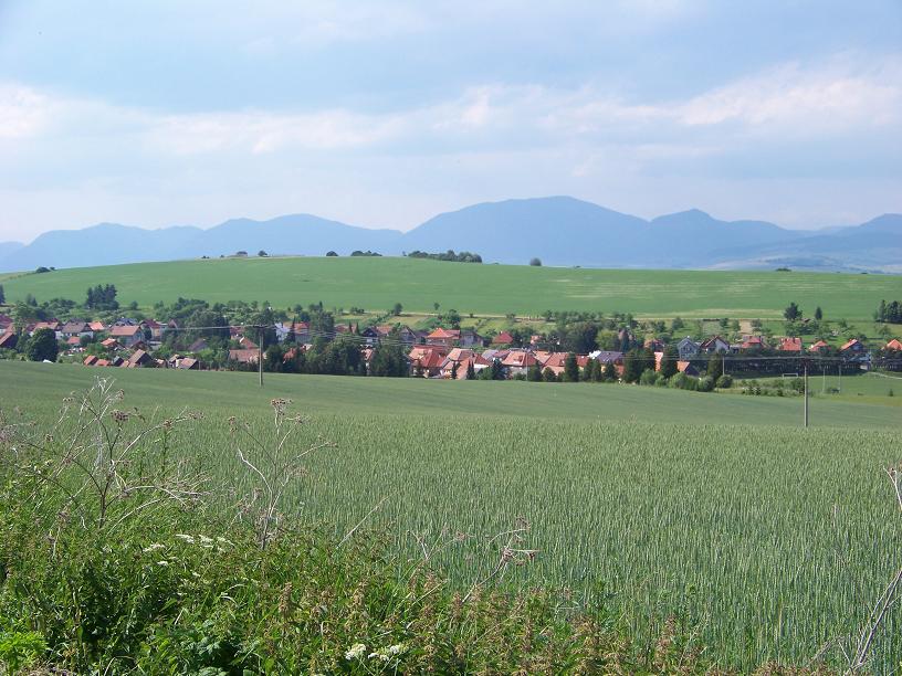 všeličo 008.jpg