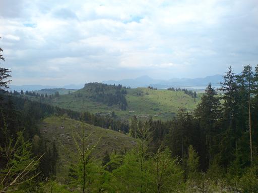 poludnica1.JPG