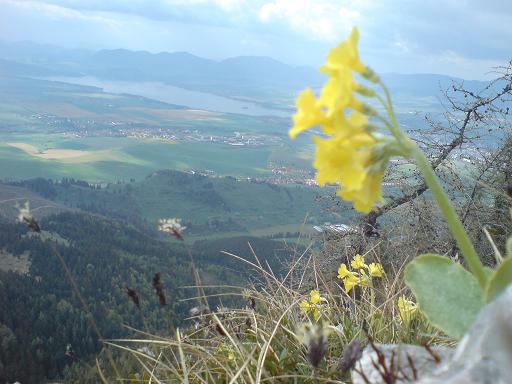 poludnica2.JPG