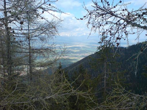 poludnica9.JPG