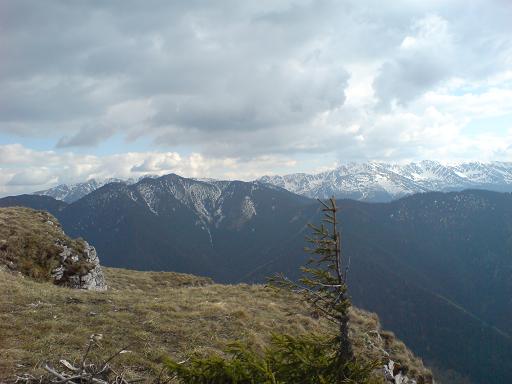 poludnica17.JPG